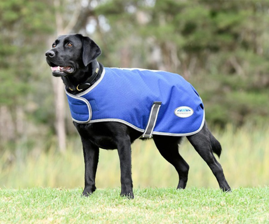 Weatherbeeta Comfitec Premier Free Parka Dog Coat image 5